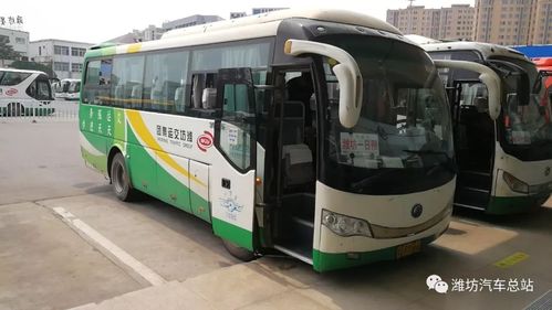 潍坊汽车总站多项措施确保旅客十一期间安全顺畅出行